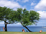 水泵潤滑油有哪些作用?