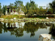 為什么現(xiàn)在南方電機比以前更容易燒壞?