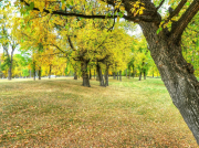 廠家教你如何選擇南方水泵