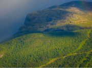 南方泵業:不銹鋼泵市場正在啟動